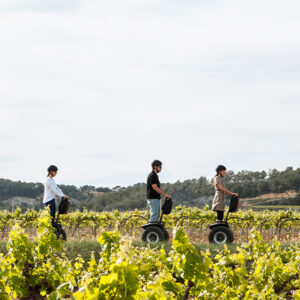 Segway and Wine Tasting in Barcelona